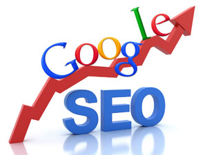 seo services in ludhiana punjab